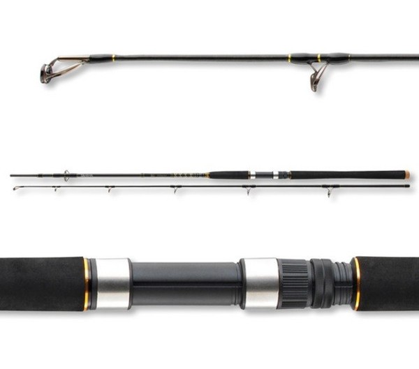 Daiwa Bg Offshore 2,70M / 40-125G Pilkrute Salzwasser Rute Meeresrute-image