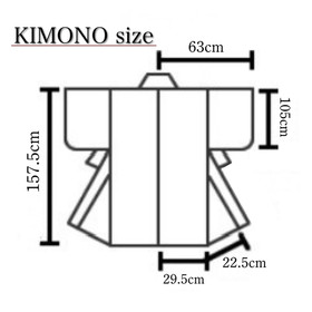 Japanese KIMONO FURISODE/Unmarried Women's Fomal/from Japan BS1000089889502
