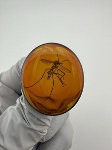 2021 Jurassic Park Mosquito In Amber Enamel Lapel Pin By Loot Crate