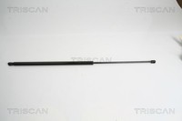 Triscan Heckklappen DäMpfer Gasfeder Kofferraum 8710 15234 FüR Fiat Doblo Jtd