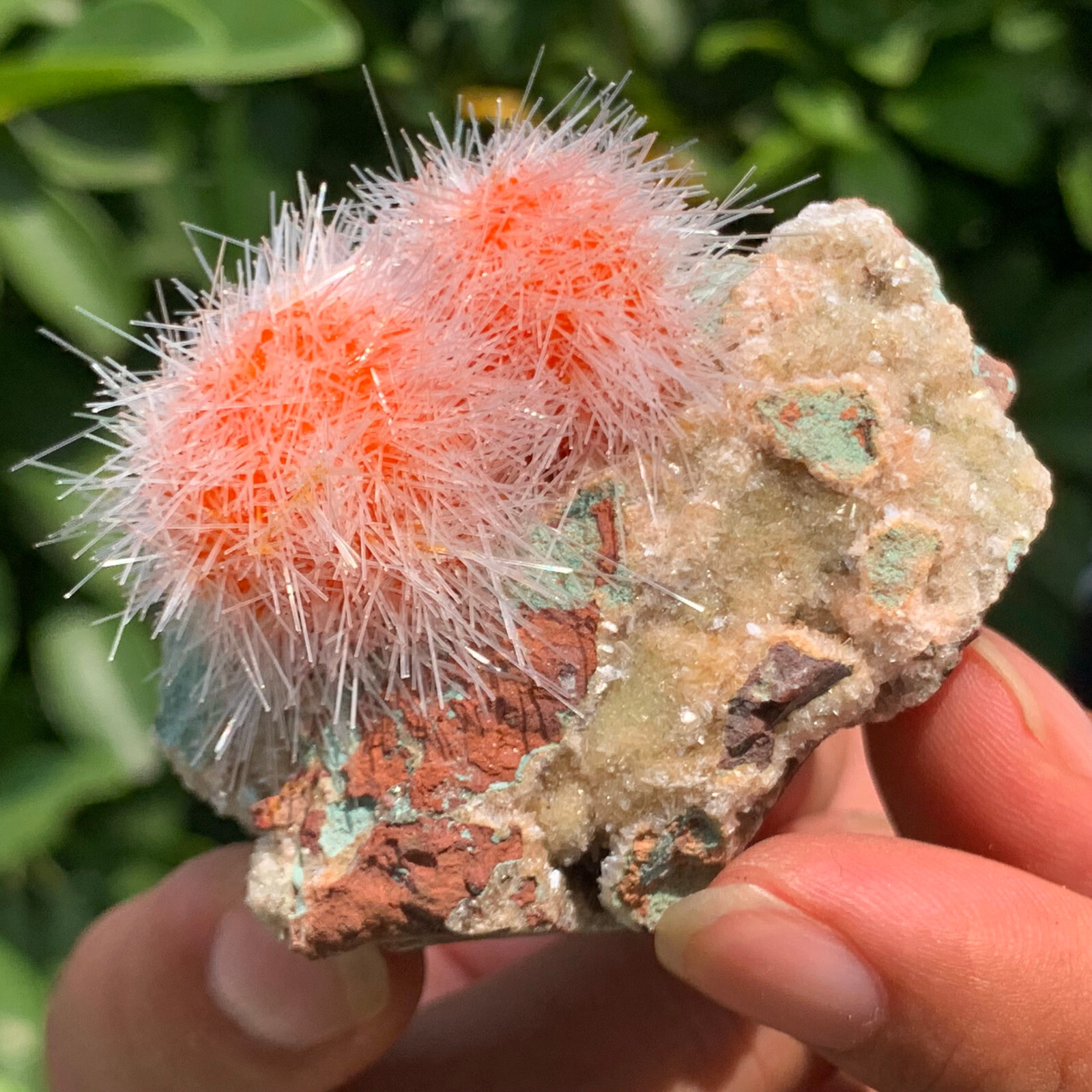 92G  Indian dandelion zeolite Quartz Crystal Cluster Mineral Specimen