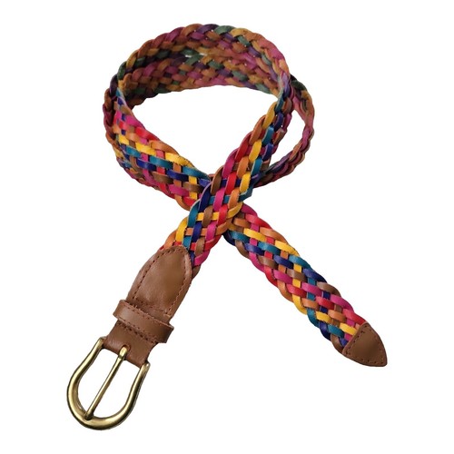 A Tail We Could Wag Multicolor Embroidered Belt Adjustable A Tail We Could Wag Belt | eBay main image 3