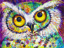 Hoot 60 Piece Mini Wooden Jigsaw Puzzle 