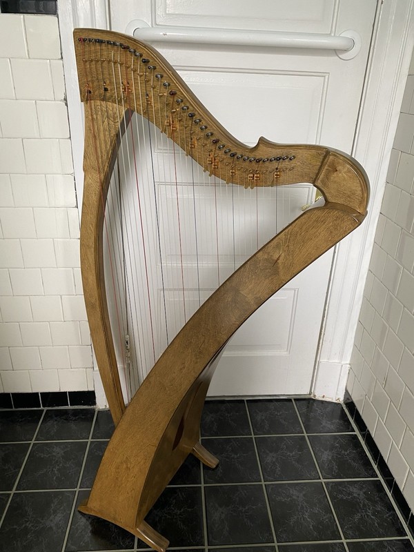 Wood Lever Diatonic Harp Natural Finish Brown with Green Soft Case Carry Bag