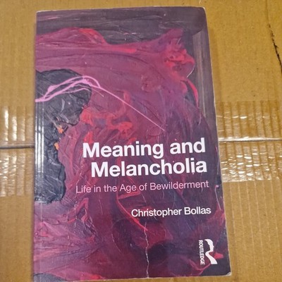 Meaning and Melancholia : Life in the Age of Bewilderment by Christopher Bollas