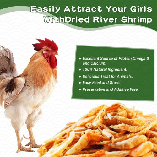 LOT Dried River Shrimp Natural High Protein for Chicken Turtles Reptiles Birds - Picture 2 of 21