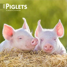BrownTrout,  Piglets 2026 Mini Wall Calendar, 7'' X 7'', 16-Month Calendar with