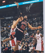 Chicago Bulls CJ Watson signed 8x10 photo Tennessee Bench Mob