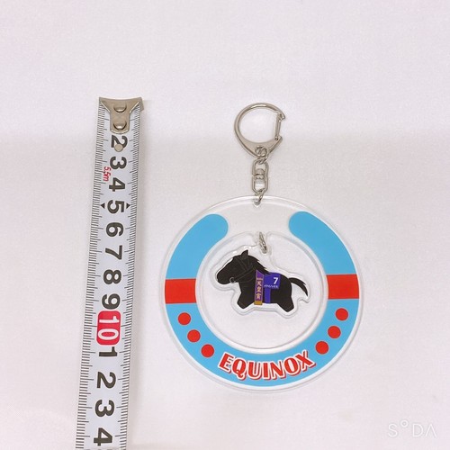 Equinox Yura Yura Acrylic Keychain Thoroughbred Collection Japanese Racehorse - Picture 3 of 3