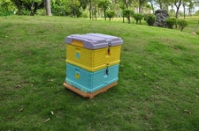 2-tier Insulated Honey Beehive Plastic Beepeeping Boxes Blue Yellow USA Stock