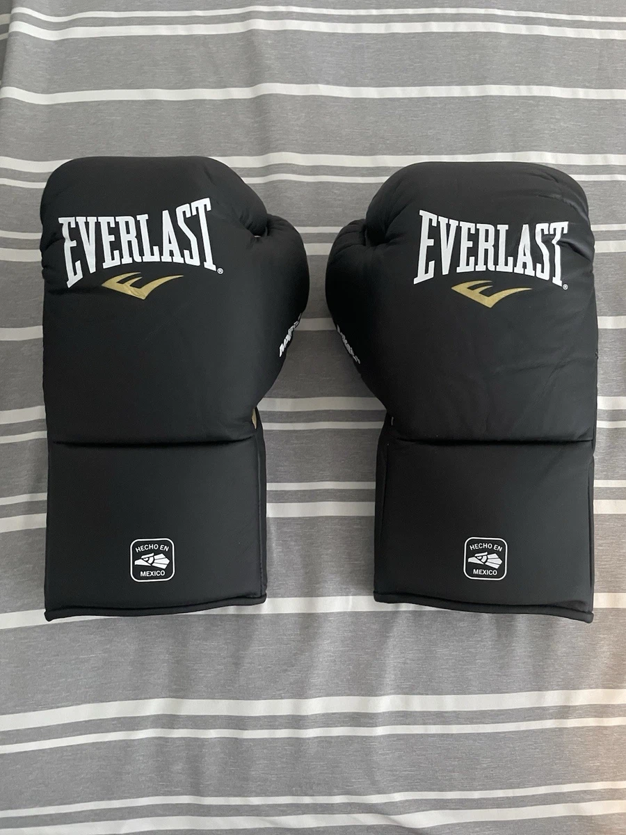 Black Everlast 10 oz. Weight Boxing Gloves for sale | eBay