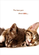 Designer Greetings Two Cuddling Sleeping Cats Friendship Card