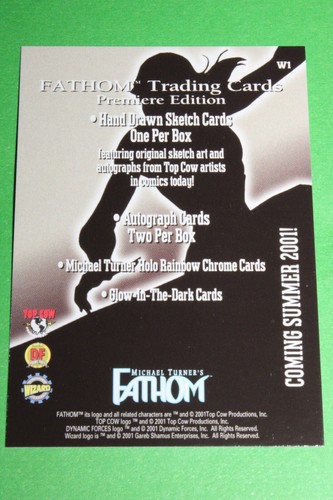 Michael Turner's Fathom 2001 Dynamic Forces Promoción Juego de 7 tarjetas #P1 P2 W1 W2 H1 H2 - Imagen 13 de 14