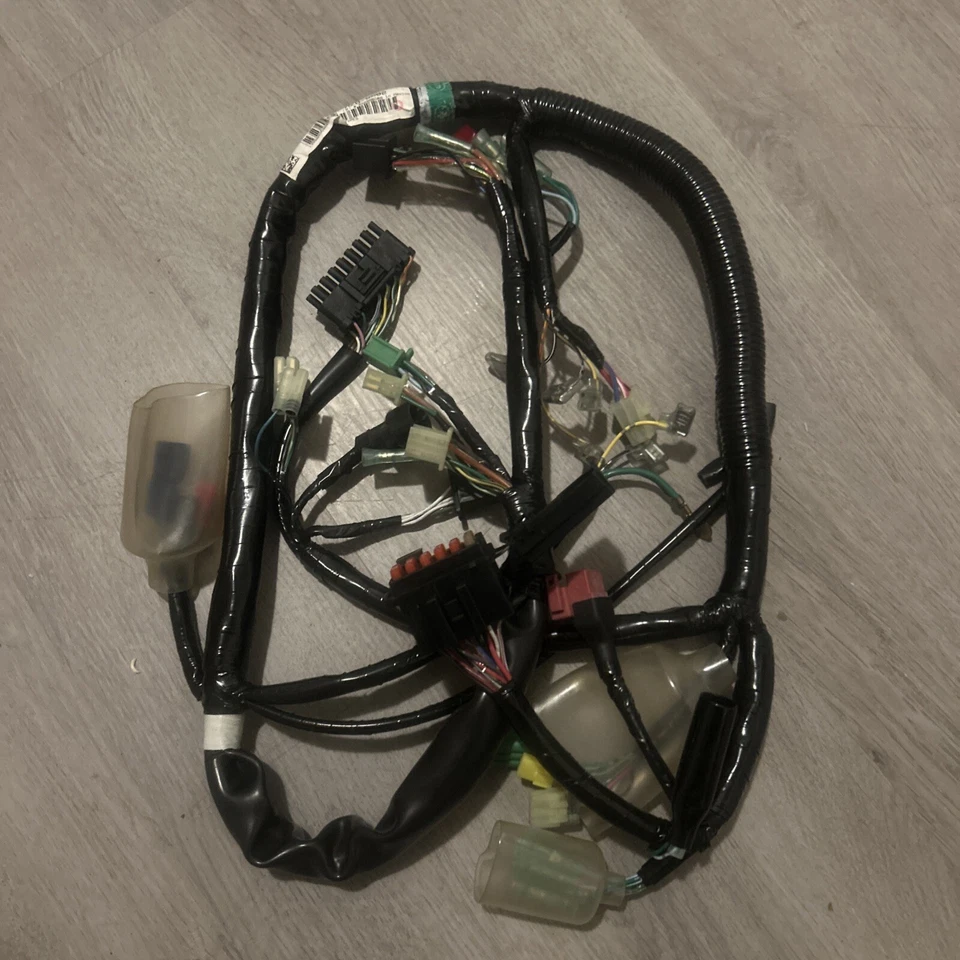 *NUEVO* HONDA VALKYRIE 1500 GL1500C 1998 ARNÉS DE CABLEADO PRINCIPAL 32100-MZ0-0002 *NUEVO* Foto 3 de 3