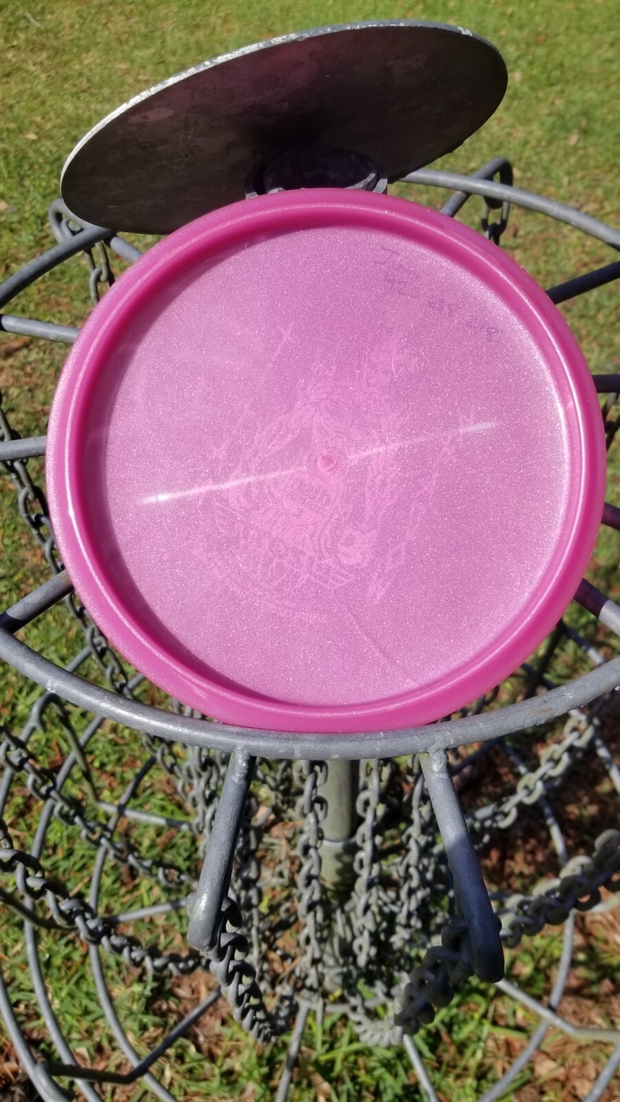 Picture 4 of 5