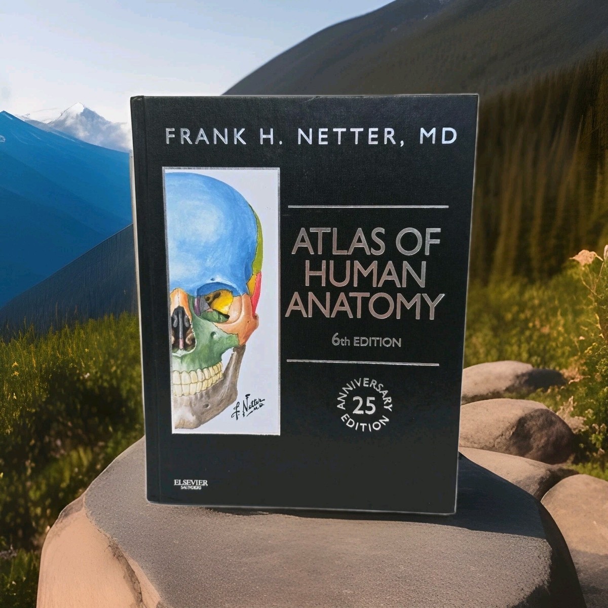 Atlas of Human Anatomy by Frank H. Netter 6th Edition 2014
