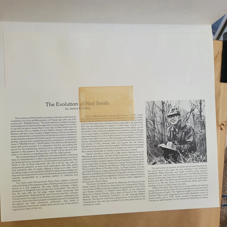 Signed 1983 Pennsylvania Wood Duck Stamp Print  2 Stamps 2564/7380 Ned Smith 17" - Image 3 of 4