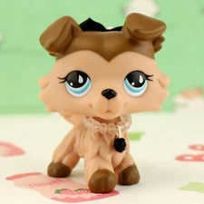 Mini Pet Shop LPS Brown Collie #893 Action Cartoon with Accessories Kids Gift
