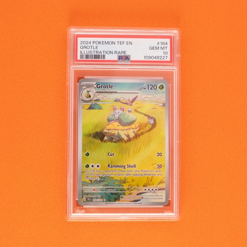 Pokémon TCG Grotle Illustration Rare Holo 164/162 Temporal Forces PSA 10