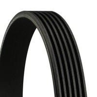 NEU - Continental Ctam 6PK869 Keilrippenriemen FüR Audi CitroËN Peugeot VW
