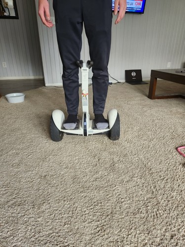 Ninebot by Segway MiniPRO Parts/Repair