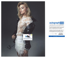 Ultimate Guide to Collecting Harley Quinn 12