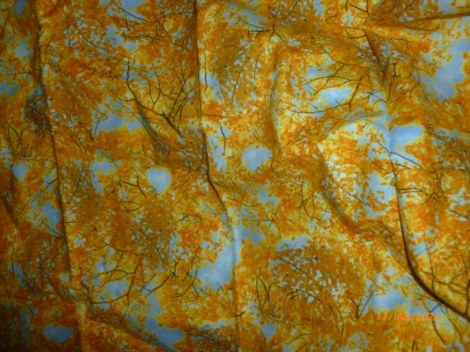 Timeless Treasures Fabrics of SOHO Fall Sky Autumn 1/2 yd - Image 3 of 3