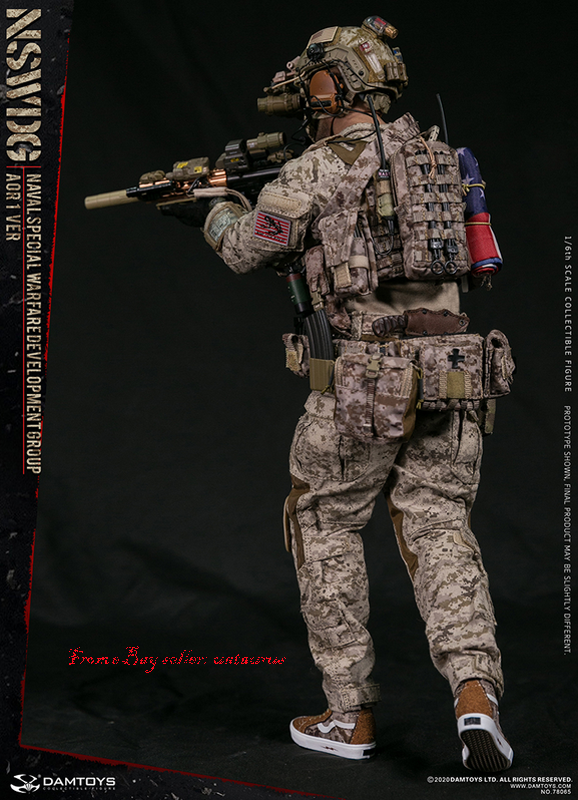 Perfect Damtoys 78065 1/6 Nswdg Naval Special Warfare Development