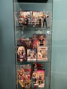every wwe action figure ever made