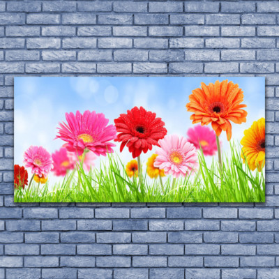 Tableau Sur Verre Tulup 125x50 Cm – Thème Floral Herbes, Impression Moderne Multicolore