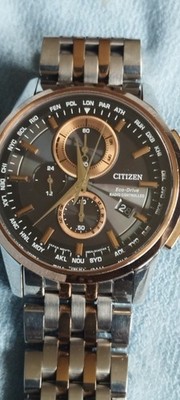 citizen World Timer Eco Drive Perpedual Calander 
