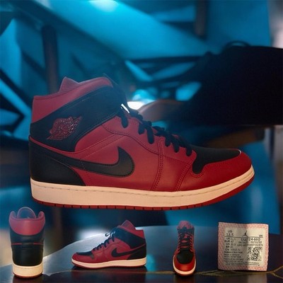 Air Jordan 1 Reverse Bred 13