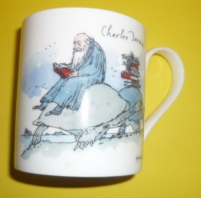 University of Cambridge 800 Years Darvin Anniversary Coffee Mug, 3.25''x3''