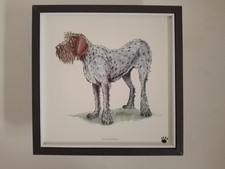 Bryn Parry Dog print 'Italian Spinone'  FRAMED