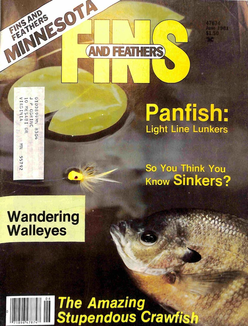 Fins and Feathers, June 1981 eBay