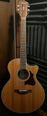 Ibanez AE205J Elektroakustische Gitarre