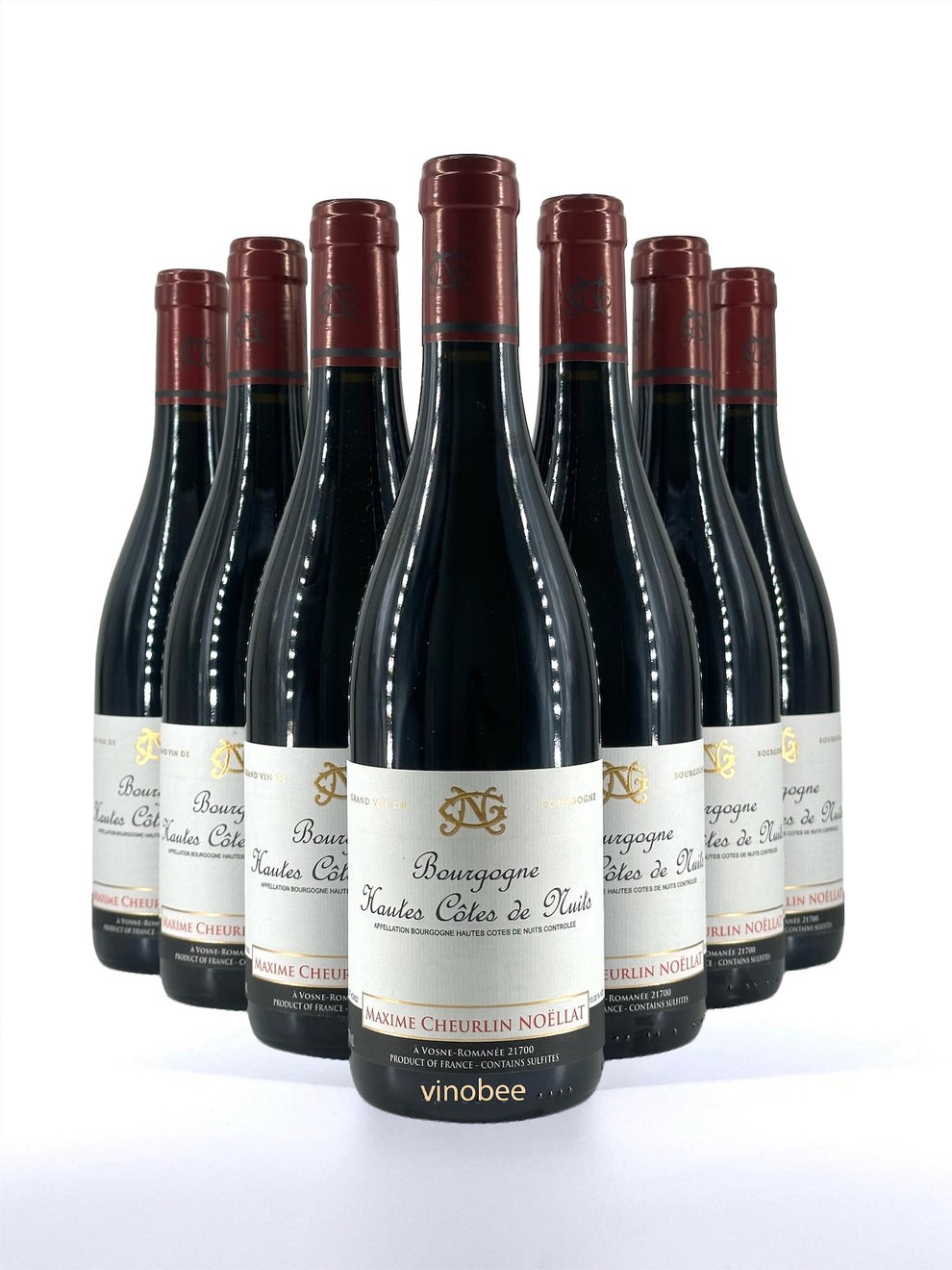 12 Bottles Maxime Cheurlin Noellat Bourgogne Hautes Cotes de Nuits 2022 750ml