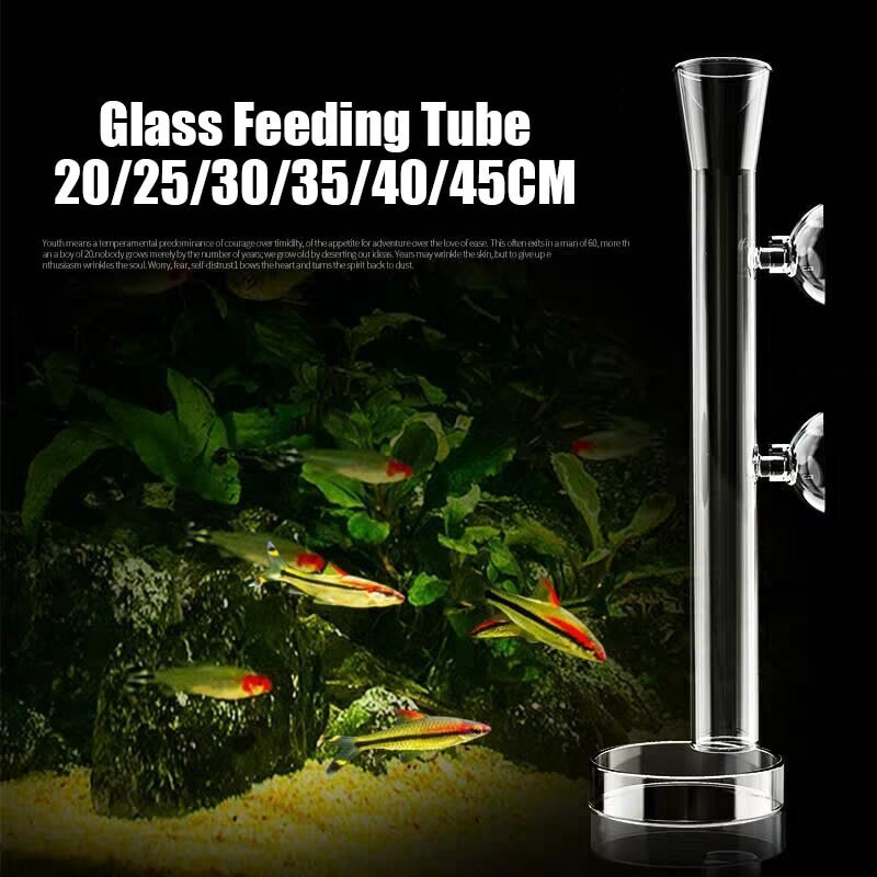aquarium shrimp feeder