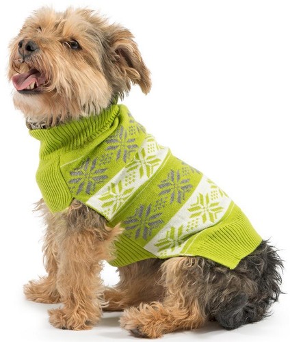 greenfield puppies website