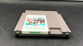 Anticipation (Nintendo Entertainment System, NES) Game Only w/ Sleeve