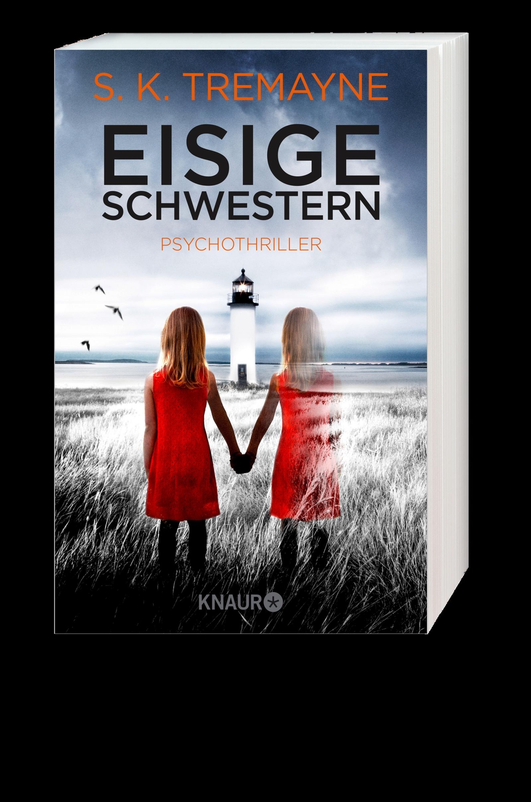 Thumbnail - S. K. Tremayne / Eisige Schwestern / 9783426520147