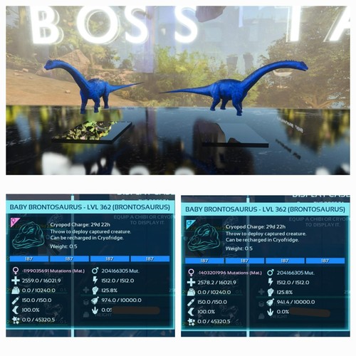 BABY PAIR BRONTO VARIOUS COLORS - Picture 2 of 7