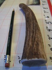 1 MEDIUM All Natural Elk Antler Dog Chew treat HARD INNER CORE Organic 6-6.5 OZ