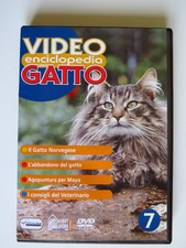 Video Enciclopedia del Gatto. IL GATTO NORVEGESE  DVD Documentario