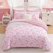 Comforter Set for Girls Bedding Set Reversible with Cute Heart, Queen Red Bow
