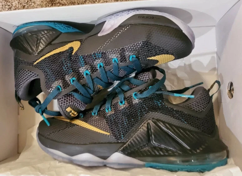 Nike lebron 12 Mint top