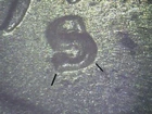 1950-S Lincoln Wheat Cent RPM S/S   #14 - Gem BU