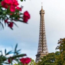 SPRINGTIME IN PARIS Fragrance Oil to craft Candles Soaps Lotions Bath products