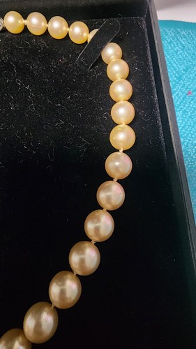South Sea Champagne Pearls - Picture 4 of 7
