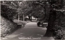 fotograficzna pocztówka lowestoft, gniazdo wróbli wysłane 1936